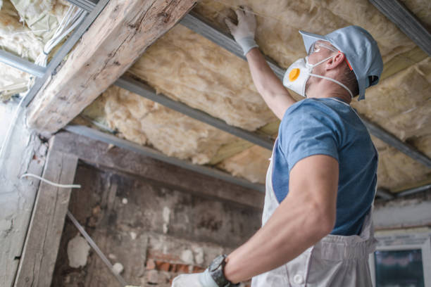 Best Insulation Maintenance and Repair in Lake Forest, CA